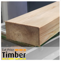 Planed Larch 200mm x 100mm x 3.6m